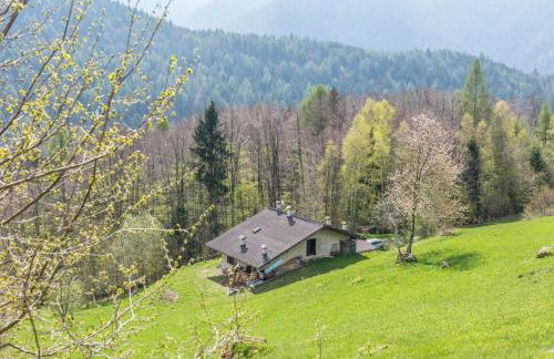 Baita Rustica immersa nel verde - Photo 24