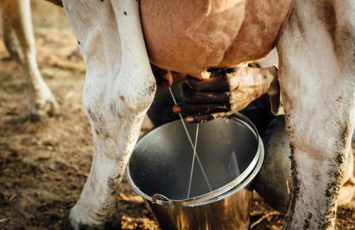 La Cerreta - Terme di Sassetta - Foto 29