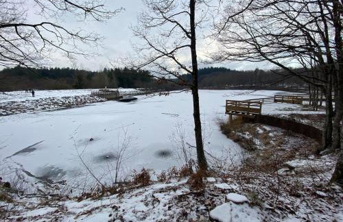 Maison de village, Route des lacs - Foto 18