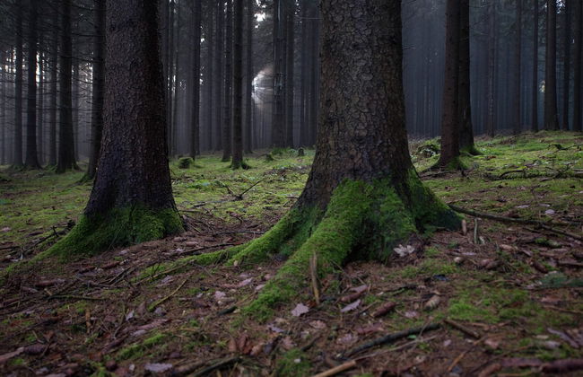 Holiday Homes for two People, With a Swimming Pool, in the Ore Mountains - Foto 72