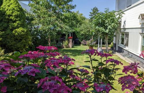 Ferienwohnung "Vita e Vino" - Foto 22