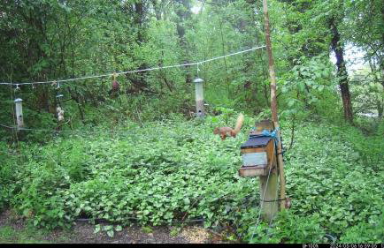 The Shack, Cally Avenue, Gatehouse of Fleet, Dumfries and Galloway, DG7 2 DH - Foto 17