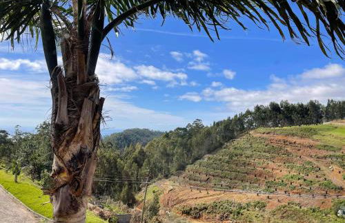 Hollywood villa - Foto 7