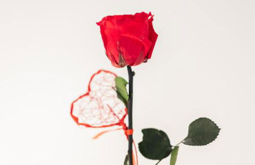 Inazio Deuna - baskeyrentals - Foto 14