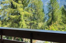 Sasso Rosso Apartment - Photo 15