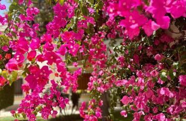 Casa Veranera Vera Costa - Foto 10