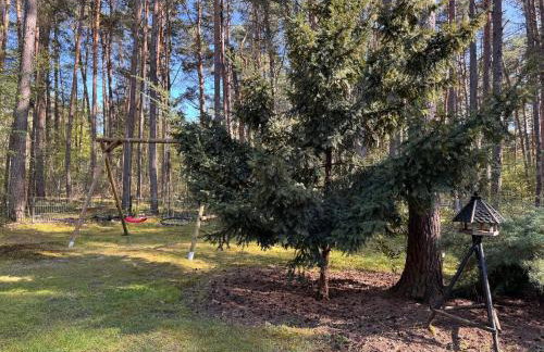 Ferienhaus im Wald - Foto 5