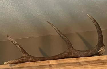 Studio cosy et sa terrasse - Foto 11