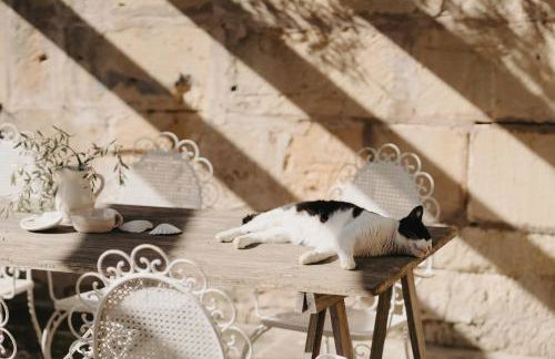 N a k e d S o l - Foto 6