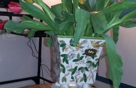 Les Tulipiers, Parking Sécurisé, Lit Queen-Size, le Mans Centre - Foto 17