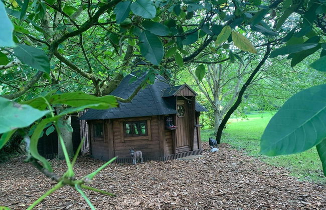 Starry Meadow - Foto 72