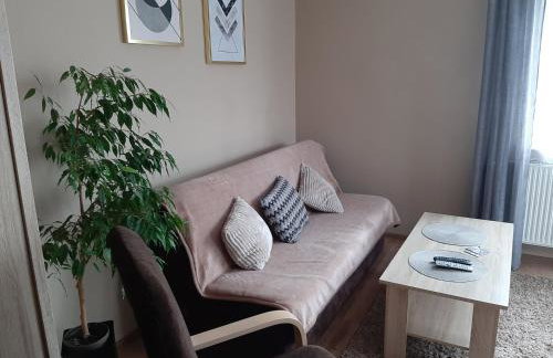 Apartamenty ,,Trzy Sosny'' Rymanów-Zdrój - Foto 13