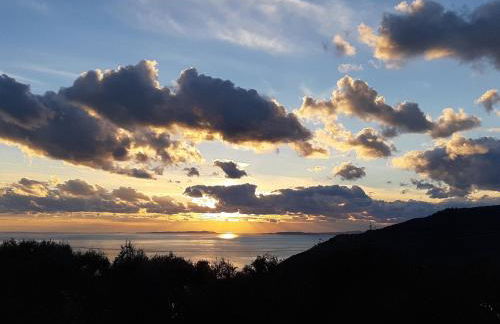 Olive Tree Apartments - Foto 124