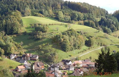 Haus Wiesental - Foto 42