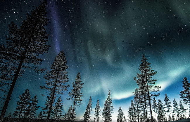 Santa Claus Holiday Village - Foto 54