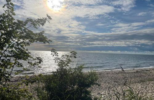 Ferienbauernhof Liesenberg Meerblickhaus Strandmuschel - Foto 78