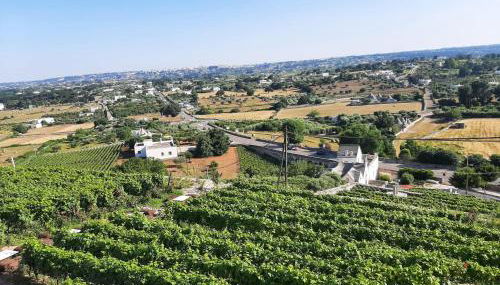 Casa Montanaro - Foto 2