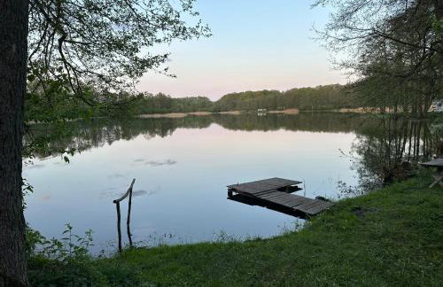 FORESTHOUSE - Foto 47