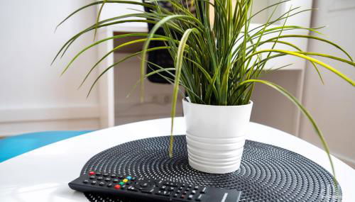 Nemesia - Proche Gare - Foto 5