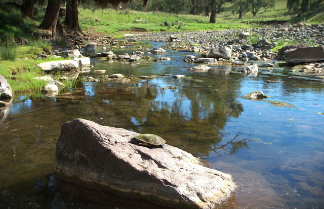 Little House in the Nursery - Foto 21