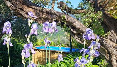 L'Aloha Gîte de charme au cœur de Fayence avec Vue Panoramique - Foto 3
