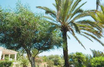 Casa del Canto, Calapanizo - Foto 50