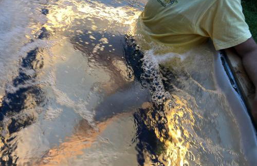 Domek Jakusówka Laliki Pochodzita w sercu Beskidów - Foto 31