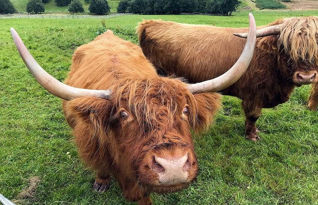 Apartments Fichtelberger Blick - Foto 62