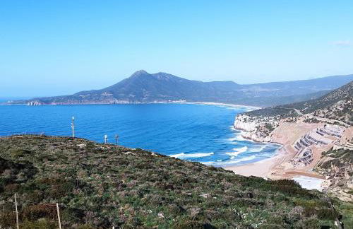 Il GLICINE - Foto 17