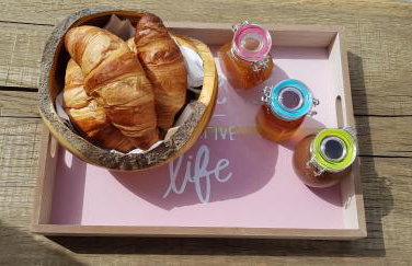 Heritage Apartments Trumbić - Photo 55