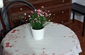 La Casa nel Borgo - Photo 3