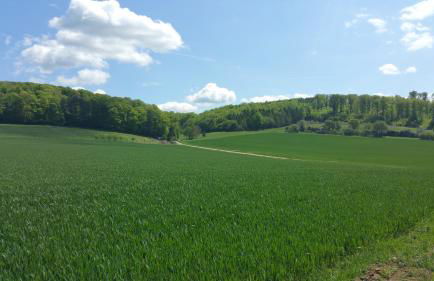 Friedland - Groß Schneen GÖ 10 KM - Foto 8