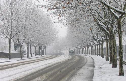 Quinta dos Castanheiros - Turismo Rural - Foto 72