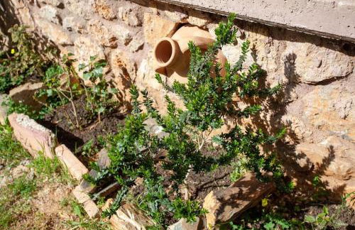 Chania Paradise Retreat - Photo 37