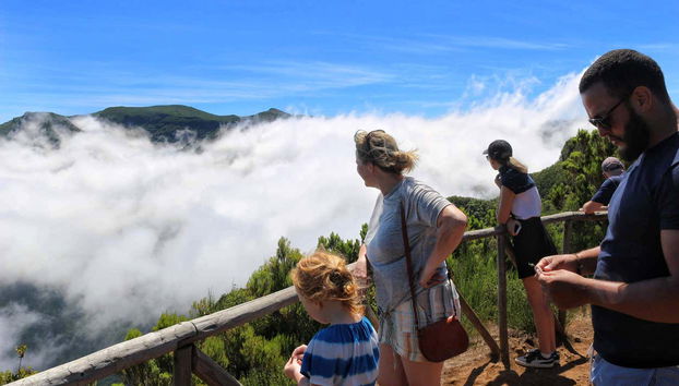 Enchanted Terraces Half-Day Trip - Foto 3