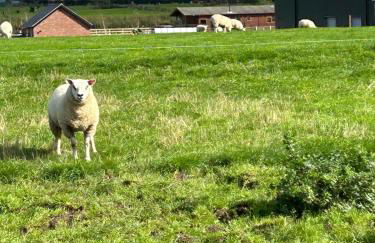 The Lodge - Photo 21