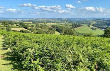 The Chaff House Country Cottage - Foto 7