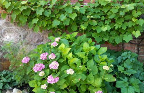 Historic House By The Elbe River - Foto 38