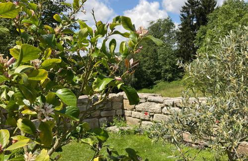 Design Ferienwohnung mit Bauerngarten - Foto 51