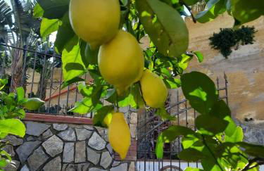 Menzel el Emir - Foto 35