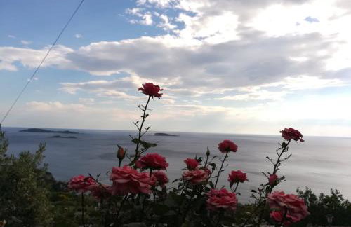 Apartment Marija - Foto 52