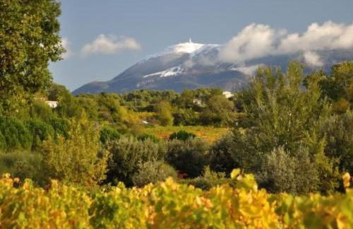 Holiday Home Haus der Olivenbäume by Interhome - Foto 33