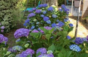 Gîte avec jacuzzi privatif à proximité de l'océan - Foto 23