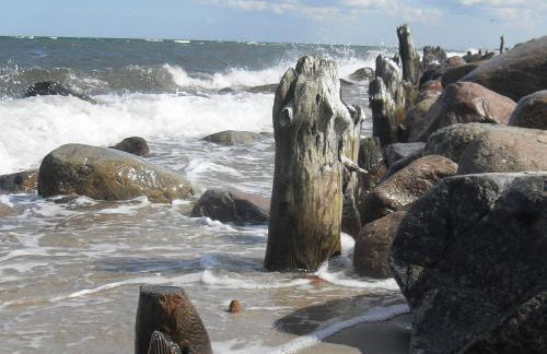 Sunny Holiday Apartment at the Forest Büdnerreihe - Foto 54