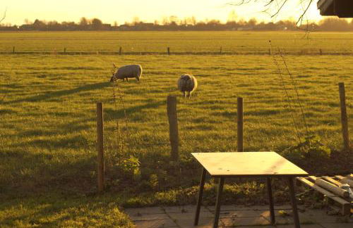 Apartment in Friedrichskoog with 130 sqm - Foto 19