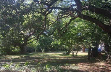 Gîtes l'instant présent chez Lû - Foto 12