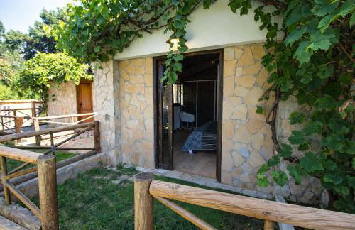 Catalunya Casas An oasis for up to 26 nature loving guests! - Foto 34