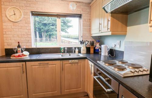 Handale Banks Farm Lodge - Foto 7