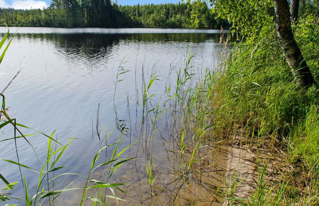 Kolin helmi 2 - Foto 24