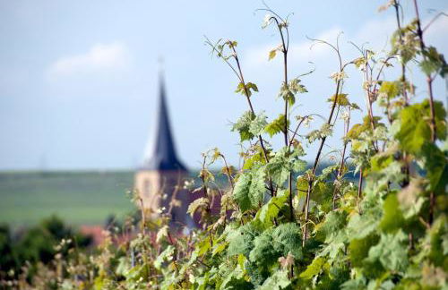 Bärengasse Apartments - Foto 35